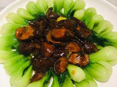 香菇菜心-蝶园·装修中(BFC外滩金融中心店)