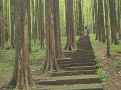 -武陵山森林公园