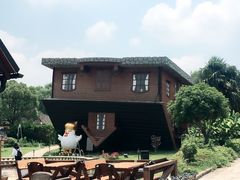 -金山农民画村-枫泾波兰倒置屋