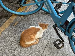 -荔湾湖公园