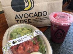 -油梨树AVOCADO TREE(顺义新国展店)