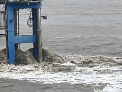 -观潮胜地公园