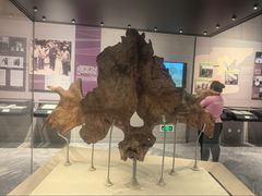 -北京周口店北京人遗址博物馆