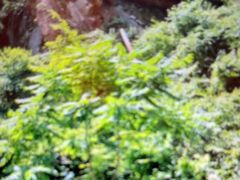 -将军关探险漂流