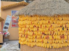 -长春市南湖公园