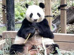 -广州长隆野生动物世界