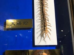 -上海昆虫博物馆