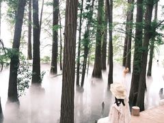 -东湖落雁景区