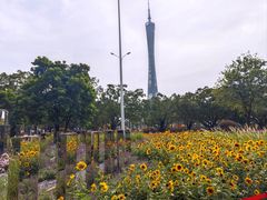 -海心沙亚运公园