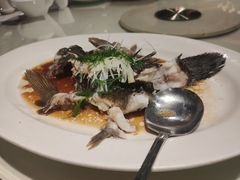 清蒸笋壳鱼-东海海鲜酒家(中信广场店)