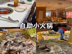 -龍歌自助小火锅(市南金茂湾店)