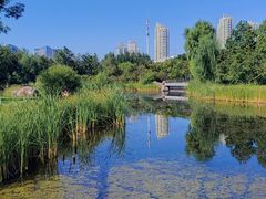-群力丁香公园