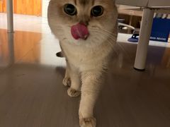 -锦府盐帮·李宅(领展购物广场中关村店)