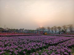 -盈香心动乐园