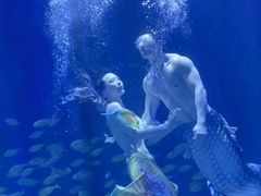 -华夏文旅海洋公园