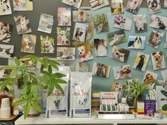 -爱妮康宠物医院·干细胞免疫细胞·肿瘤·心脏(张江店)