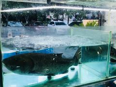 -浔味·山屿湖·正宗淳牌全鱼宴老字号