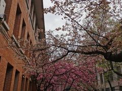 -贵州师范大学(宝山北路校区)
