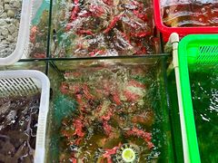 -沙头涌渔栏海鲜餐厅