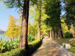 -南国桃园旅游度假区