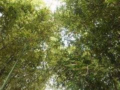 -苏州文旅花间堂·探花府酒店
