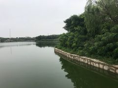 -人民公园(黄骅市)