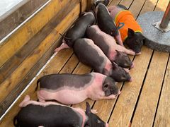 -珠海海泉湾神秘岛亲子乐园