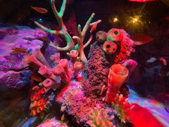 -沈阳海洋探索中心