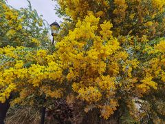 -广州市流溪河国家森林公园