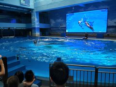 -锦艺城海洋馆