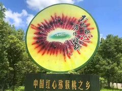 -菜园坝水果市场