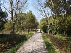 -上海中医药大学附属曙光医院(东部)