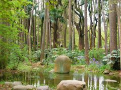 -上海共青森林公园