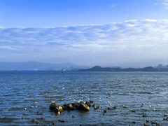 -深圳湾公园(南山区)