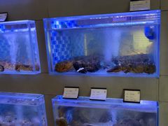 -映像威海·威海宴(威高广场店)