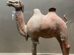 -敦煌市博物馆
