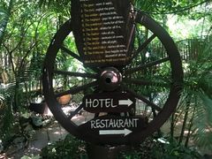 -卷心菜和避孕套餐厅(Pattaya)