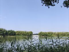 -大兴滨河森林公园
