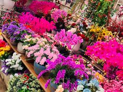 -秦美花卉(天朗·莱茵小城2期店)