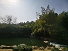 -杭州植物园