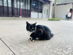 -西园戒幢律寺