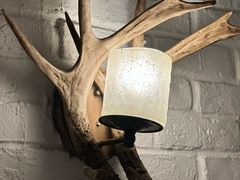 -鹿园 MOOSE(长宁店)