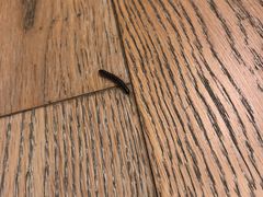 -帐篷客·溪龙茶谷度假酒店