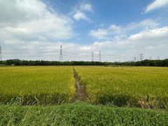 -广富林郊野公园