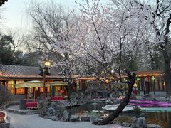 -白家大院·王府宫廷菜(苏州街店)