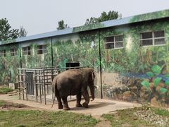 -西安秦岭野生动物园