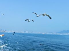 -刘公岛景区