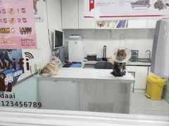 -达爱动物医院·犬猫分区·CT·复杂眼科(远洋山水分院)