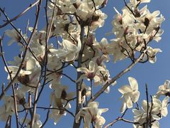 -永定河休闲森林公园