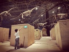 -世界恐龙谷景区